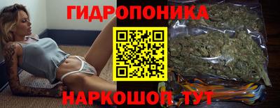 шишки Новокубанск