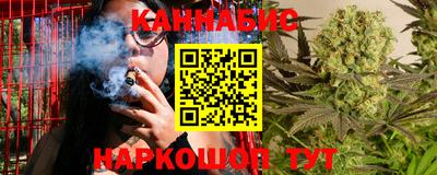 шишки Новокубанск