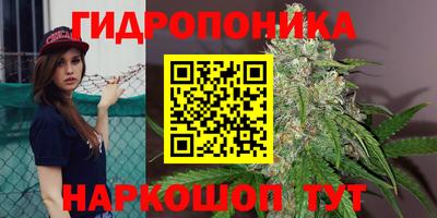 кокаин колумбия Новозыбков