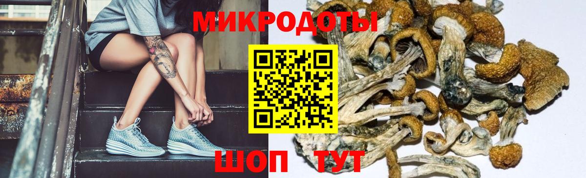 Псилоцибиновые грибы GOLDEN TEACHER Туапсе