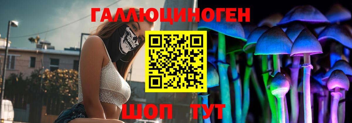 Псилоцибиновые грибы Psilocybe  Вход с VPN  Туапсе 